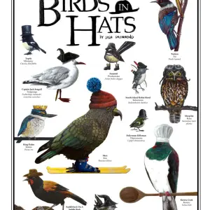 Aotearoa New Zealand Native Birds In Hats - PDF