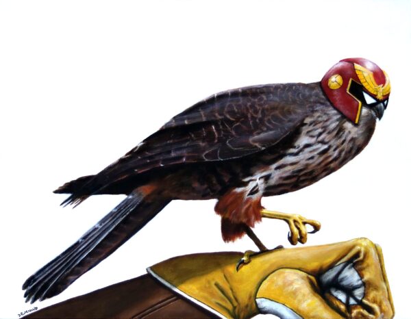 a picture of a falcon with captain falcon's helmet perched on the glove of captain falcon