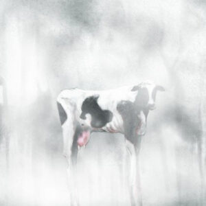 it's a digital painting of a cow standing in thick mist, the cow has long blackened knives for legs