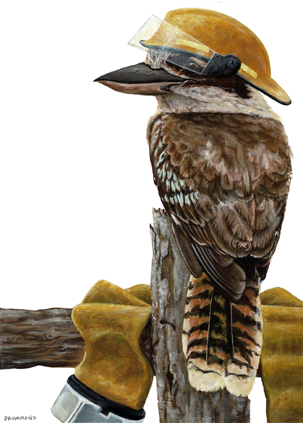 an image of a kookaburra wearing a fireman's hat sitting on a fence post