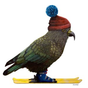 a picture of a kea on skis. a Skea. it is wearing a red wooly hat with a blue pom-pom