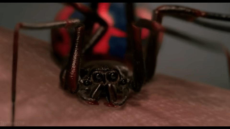 A freeze frame of the spider biting high school student Peter Parker from the film The Amazing Spider-Man