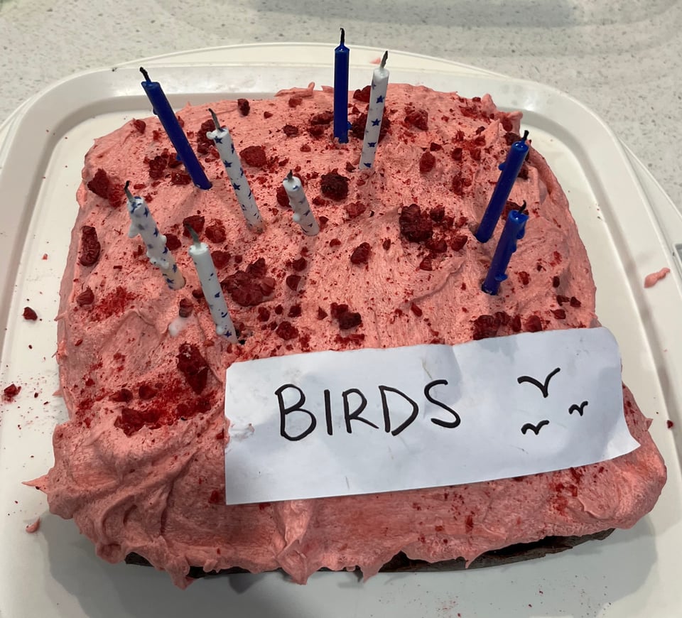 A chocolate cake covered in raspberry icing and candles, with a piece of paper stuck to it that has the word "birds" written on it in permanent marker. Three smaller sketchy birds are visible to the right on the paper.